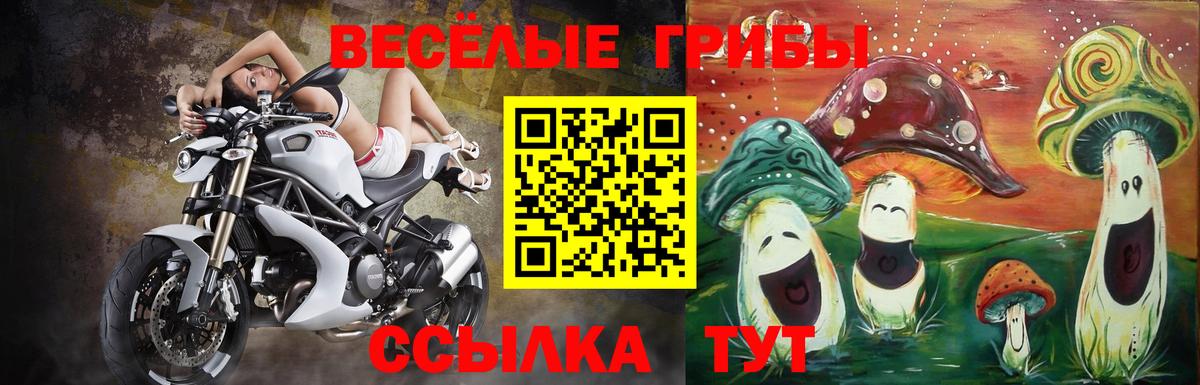 Галлюциногенные грибы MAGIC MUSHROOMS  Вход с VPN  Назрань  Псилоцибиновые грибы MAGIC MUSHROOMS 